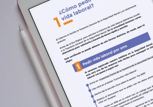 solicitar_vida_laboral-1024x1024-1